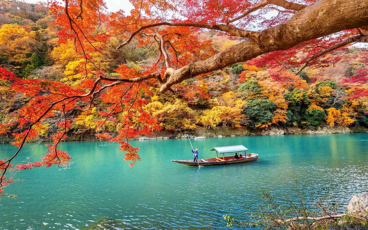 Giardino giapponese autunnale con foglie di acero rosso e ponte di legno al  tramonto