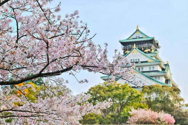 Il castello di Osaka fuori fuoco dietro a un ramo di ciliegio in fiore